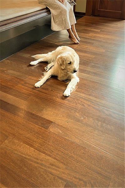 An Interior Designer's Residence with Iroko and Teak Flooring